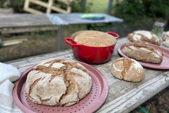 Foto: Melanie Müller