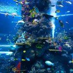 Aquarium