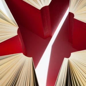 Bücher Literatur Lesen