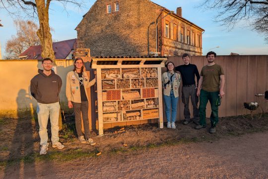 Insektenhotel in Weiterstadt. Foto: Pressestelle Weiterstadt