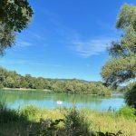 Der Erlensee bei Bickenbach ist vor allem im Sommer ein idyllischer Ort zum Verweilen. Bild: Markus Hennemann