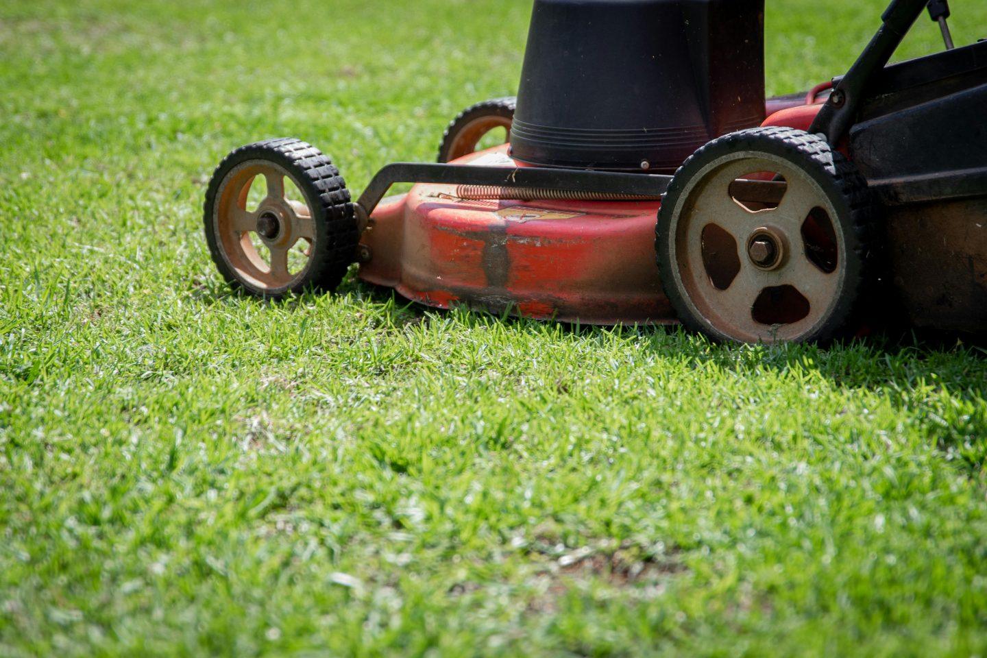 Mähen Gras Rasenmäher