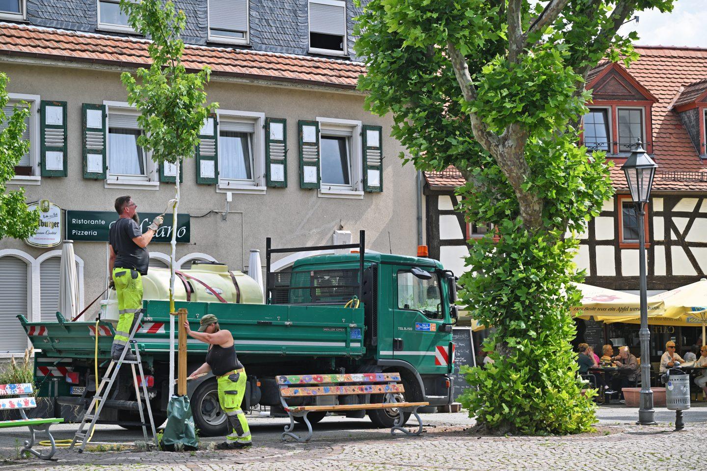 Kreisstadt Groß-Gerau/Gerd Keim