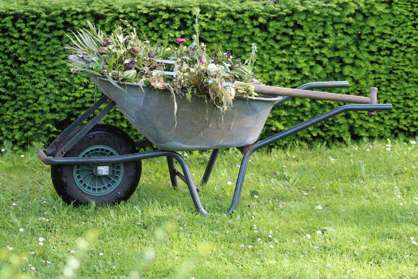 Garten Unkraut Gartenarbeit