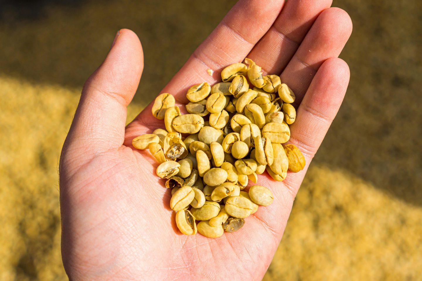 fairtrade Kaffee