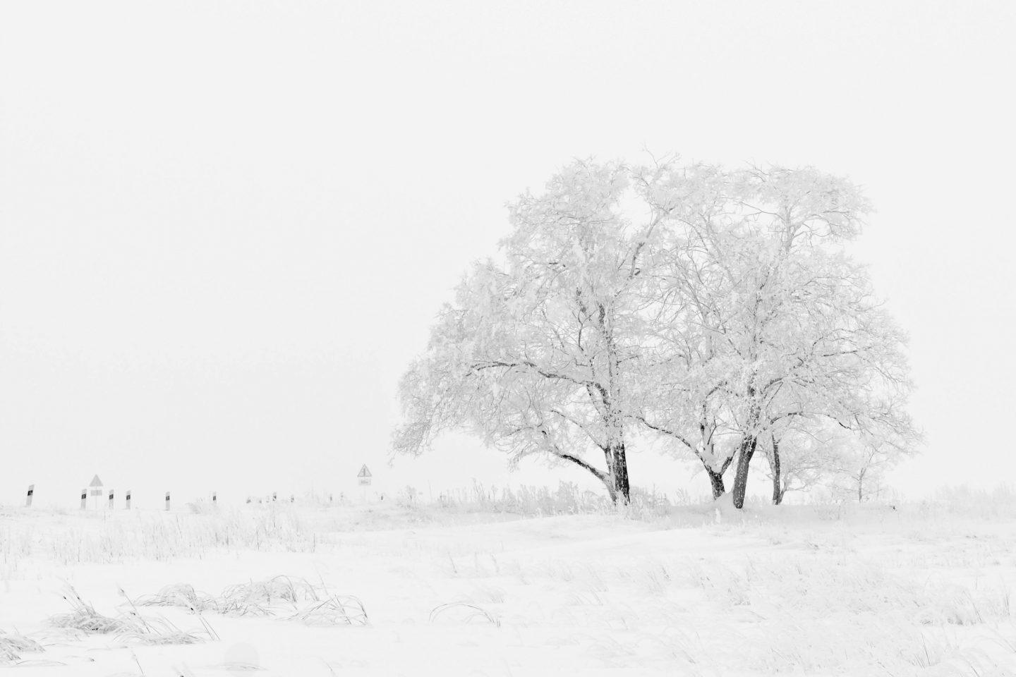 Winter Kalt Eis