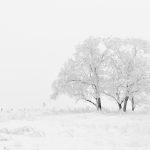 Winter Kalt Eis