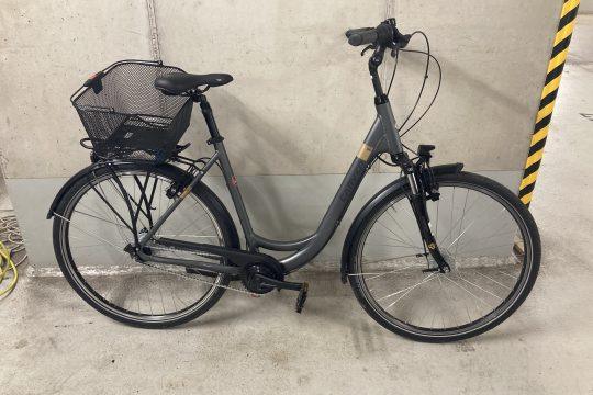 Damenrad Carver Cityzen 130