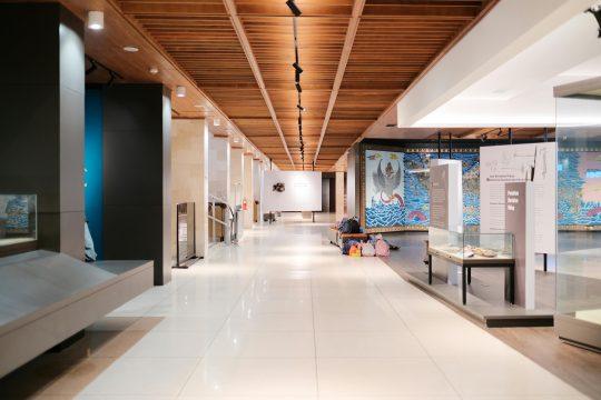 Museum